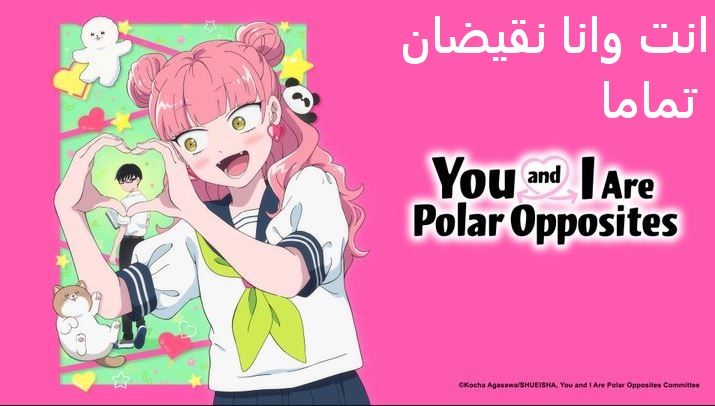 انمي انت وانا نقيضان تماما الحلقة 4 مدبلجة